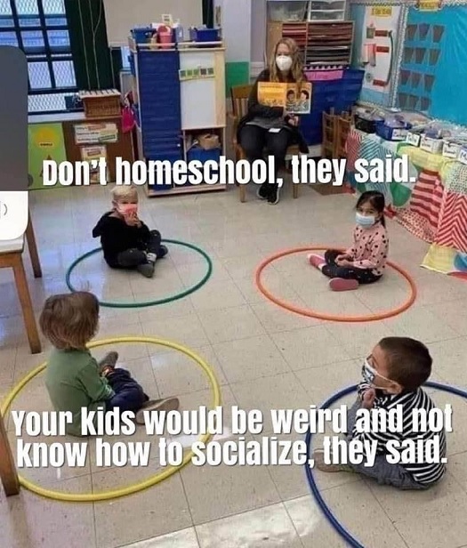 Don't homeschool, they said.