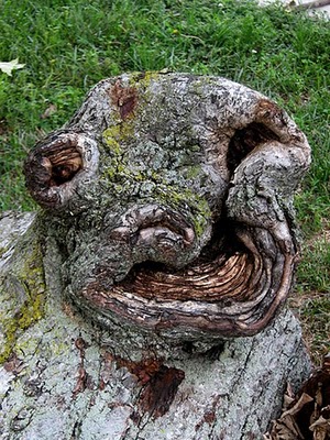 tree face