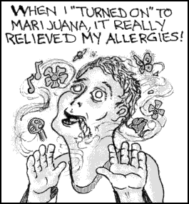 Allergies 3
