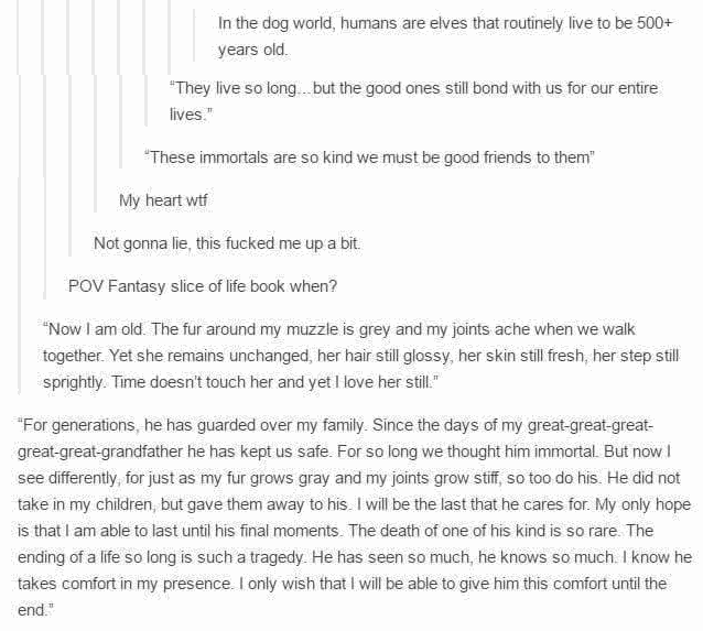 To dogs, humans are elves