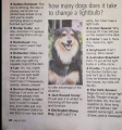 Dogs change light bulbs