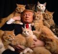 Cat ladies for Trump