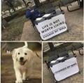 Life worth living