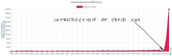 Vax deaths chart