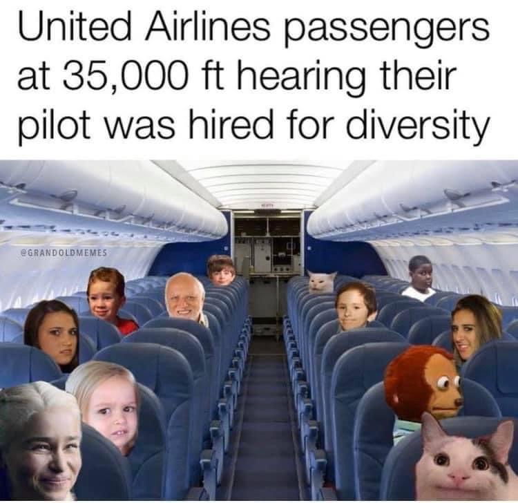 Passengers react to 'diversity hire' pilot