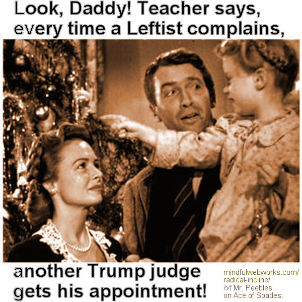 Look Daddy! Every time a Leftist complains…