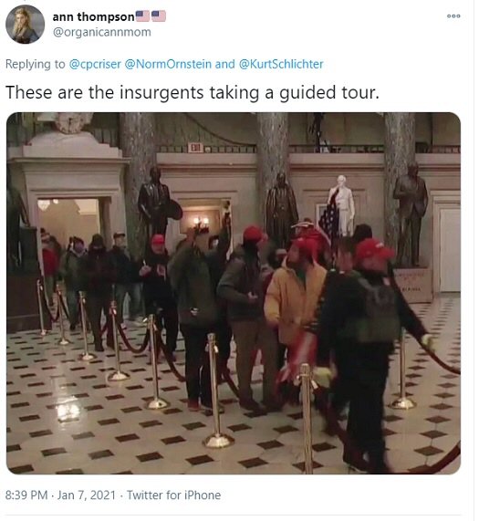 'Rioters' in the Capitol