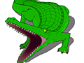 Alligator?