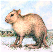 Artist's conception