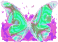 butterfly