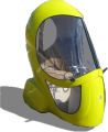 Eggasus