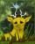 Deer and Bird