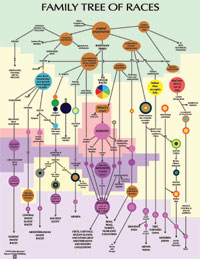 Human family tree chart (thumbnail)